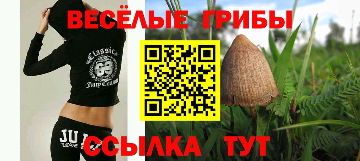 Псилоцибиновые грибы мухоморы  Вход с VPN  Псилоцибиновые грибы Magic Shrooms  Донецк 